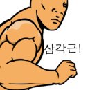 헬스블라썸 - 수원시 영통구 | 헬스블라썸