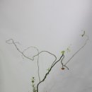 원효당한의원 이미지