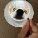 코지독하우스 이미지