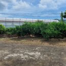 상예동-2 이미지