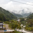 자작나무 조형물 이미지