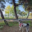 탑지 생태공원 이미지