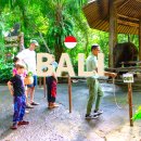 발리마린키즈 | 발리 여행 아이랑 가족여행 5박7일 일정 코스 추천