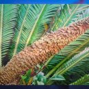 말무리염소농장 이미지