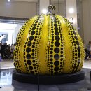 예술프라자 이미지