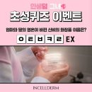 인생인셀덤