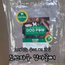 도그파우 이미지