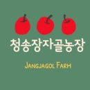 장자골 농장 네이버블로그
