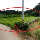 원덕농장 이미지