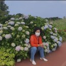 진흥꽃화원 이미지