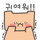 노리파크 키즈카페 이미지