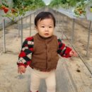 행복한농장 이미지