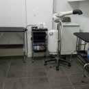 개구쟁이 애견 이미지