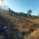 무릉도원면-47 이미지