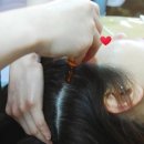 이끌리오 네이버블로그