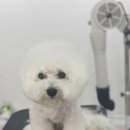 개린이살롱 이미지