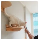 숑숑 그루밍 이미지