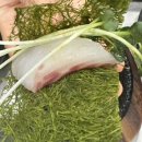 피에스타7용현토지금고점 | 토지금고 맛집 파도 용현동 맛집 위치 정보 모둠 회 신선한 회 맛 솔직 후기