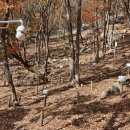 성인농장 이미지