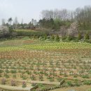 백마 농장2 이미지