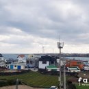 월정씨하루 네이버블로그