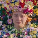 pet 25나3378 이미지