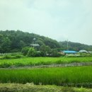 로하스캠핑 이미지