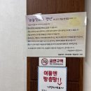 바다마을 | [충남 당진] 오션뷰가 있는 왜목마을 하늘빛 바다 펜션 방문 후기