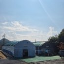 조안 농장 | 남양주아이랑갈만한곳 앵무새체험농장33