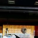 한타 부산판매 이미지