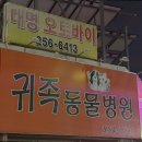 귀족동물병원 이미지