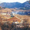 도덕1리 이미지