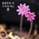 기원윤활유