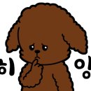 리틀미코노스1 이미지