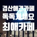 독독!개세요? 이미지