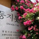 둥지짬뽕 이미지