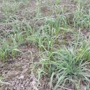 (주)온들에 이미지