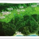 마우나오션 콘도미니엄 이미지