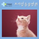 구리동물병원 이미지