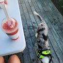 영진아파트 앞 2 이미지