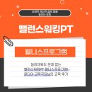 웰니스건강생활연구소 | [웰니스프로그램] 놀이체육도 문제 없는 밸런스워킹PT 웰니스프로그램! 윤다이 교육국장님의 교육 후기