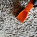 성일세탁 이미지