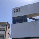 선녀바위로 5 | ⚓ [영종도맛집] 면 반 재료 반 산더미 비주얼로 배터지게 먹은 을항 물회 내돈내산 후기