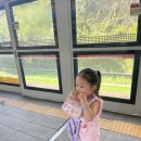 입석역 | [추석 귀성길] 광명역KTX에서 광주송정역까지 입석 꿀팁 및 후기