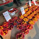 [아람청과] 양시숲 가성비 과일/채소집 : 사장님이 미쳤어요~!🤪🍎🥦