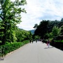 솔향수목원(암석원) 이미지