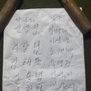 대성논메기매운탕 이미지