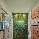 건강해짐더샵 | 🌿진접 트윙클짐 헬스 PT