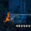 한국자동차공업 | "울산근처 캠핑장" 세종공업휴양소 울산 근교 캠핑장 최적지 추천