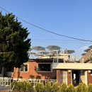 노을이 예쁜집 이미지